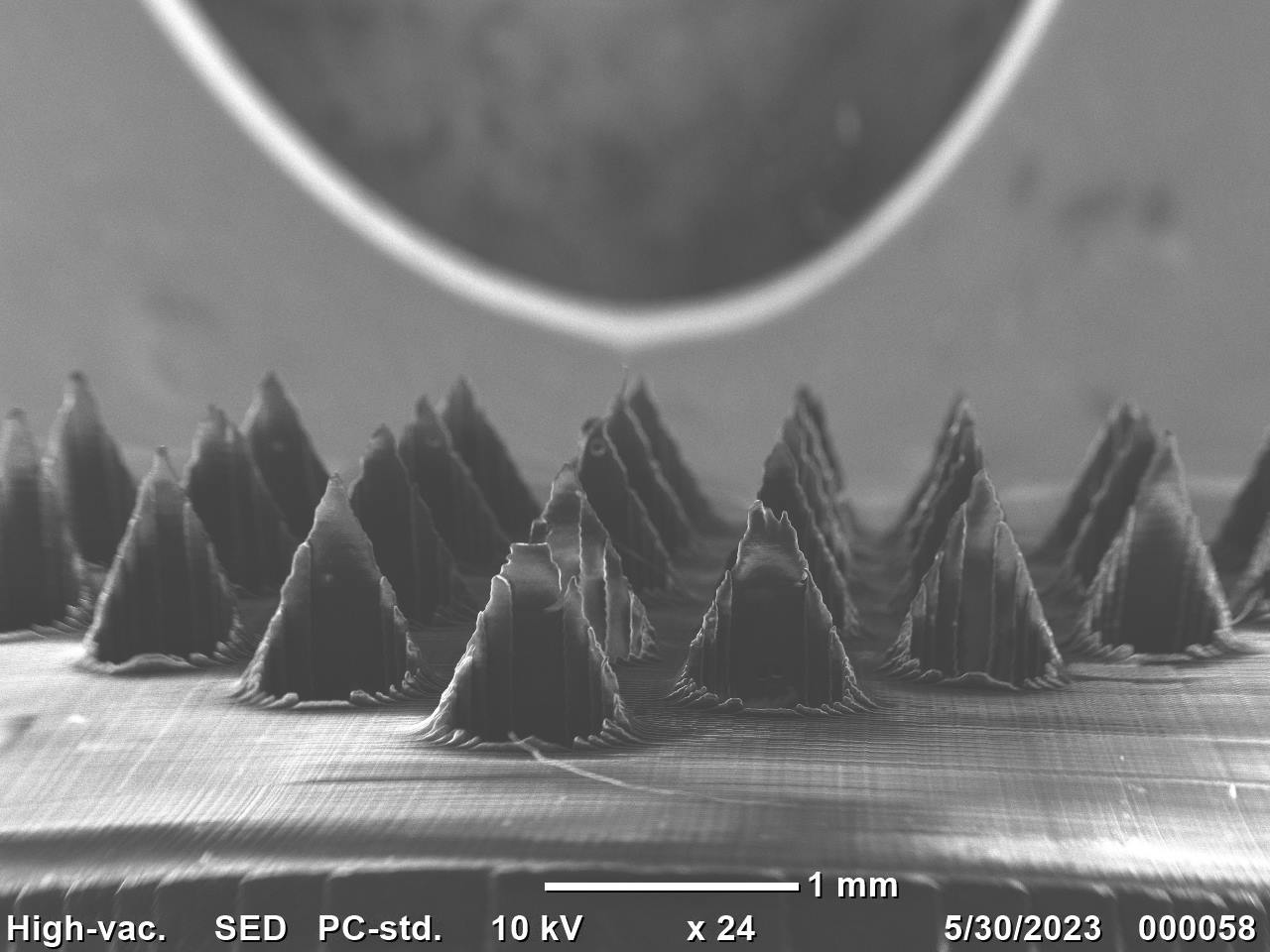 SEM Microneedles